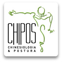 CHIPOS.IT