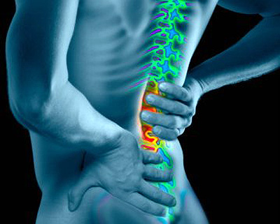 Man with enhanced spinal column, rear view (Digital Composite)